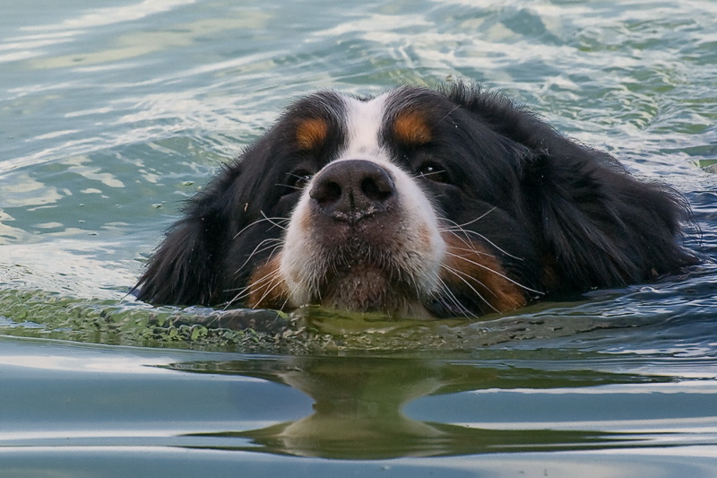 XYZ Anton-D35_5360-1-als-Smart-Objekt-2.jpg - Kampfschwimmer.